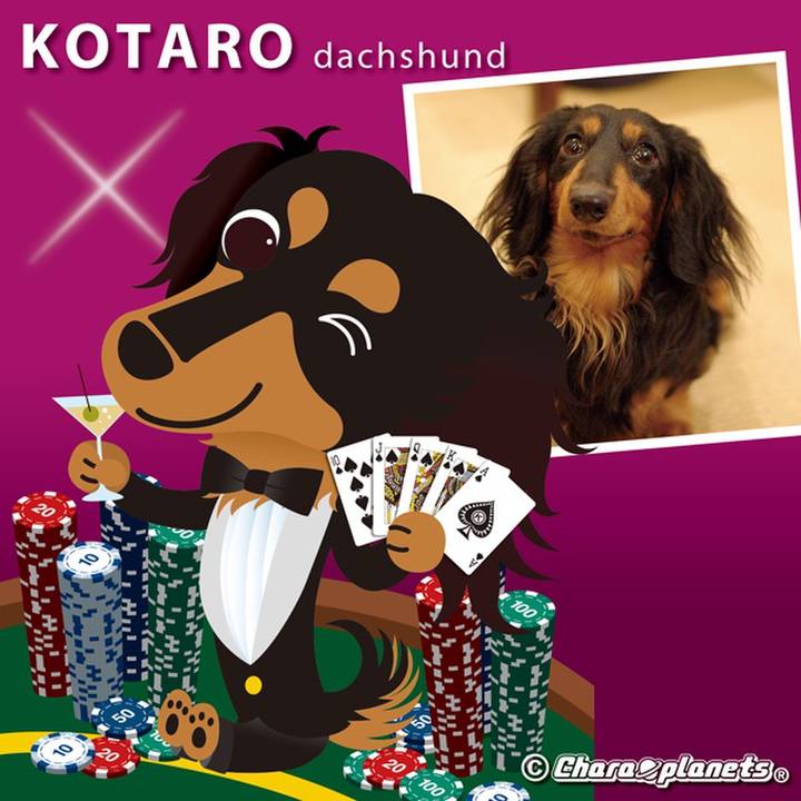 5de62d30 2d75 46fc 9f7d 09d9229275f1 1557967792831