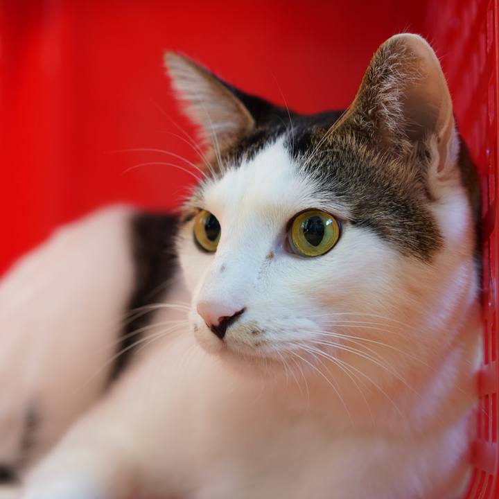 5de62ffc 6207 41f6 b9d7 cb48ffb9d37e 1573316587858