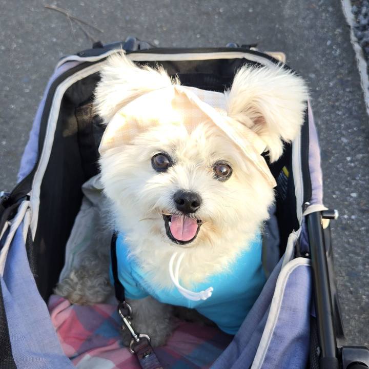 5de6582a 6905 4e6f a3a2 4f5c4979b3e2 1757127599975