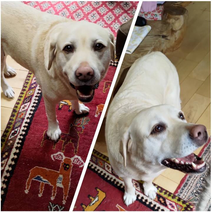 5de659d6 b78a 49c6 a265 7ac7f0582547 1708841248121