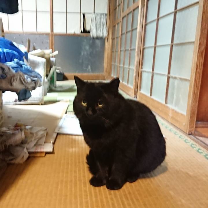 5de68a5a 1a73 409d b0e8 0594137c1998 1614680597354