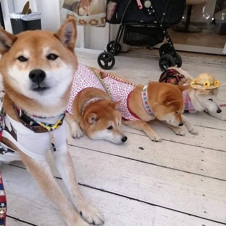 5de69dc1 00b5 4868 b6d2 fd50a5c40f60 1653309989658