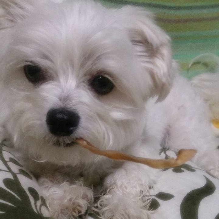 5de6d1e5 178c 4041 9131 b175fb9391f0 1526382348283