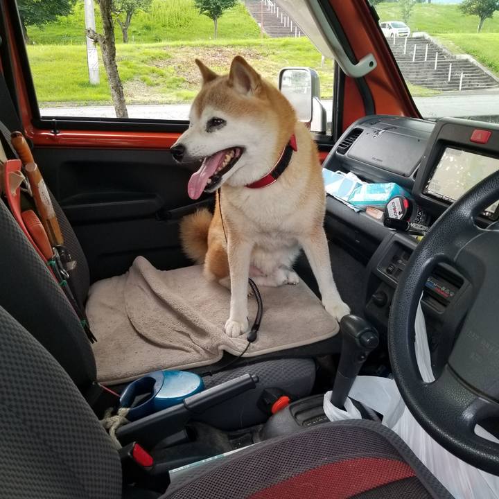 5de6e2e2 5afb 4526 b4de daa728954320 1721981973992