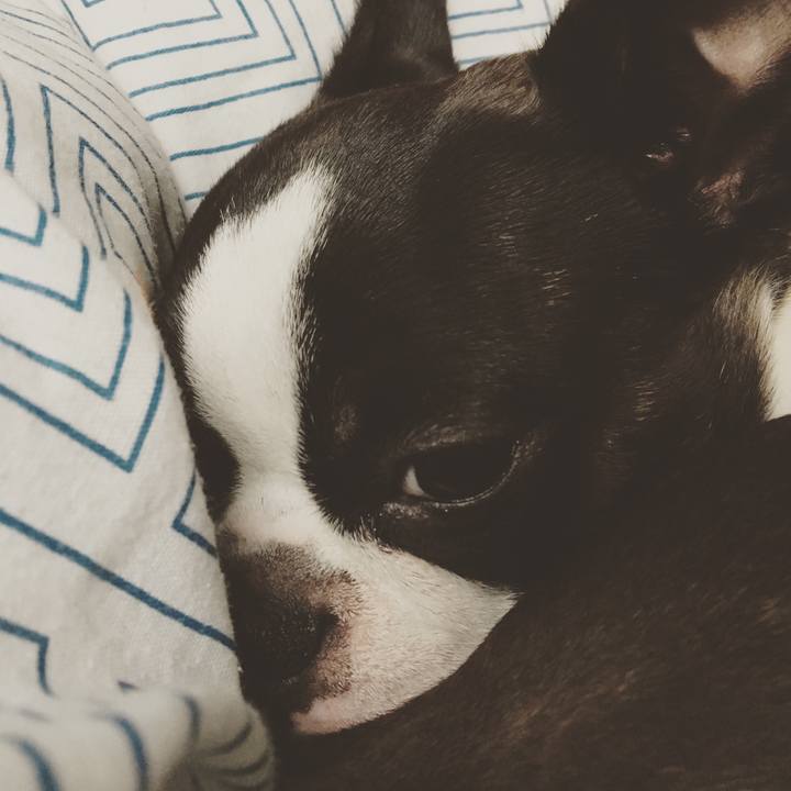 5de6ebde b4bf 47dd 99e8 42f783a64ce4 1524735445402