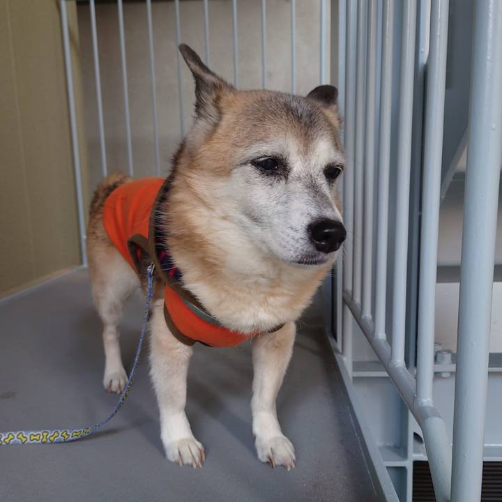 5de70f68 2e3c 4119 a965 206034f25458 1732023816102