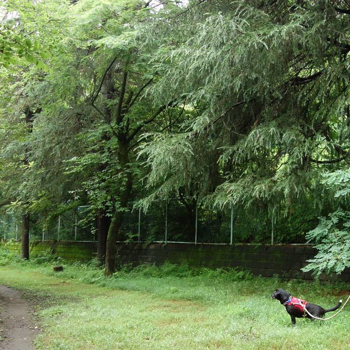 5de72774 a025 4710 a94e 41367d5de193 1657754001357