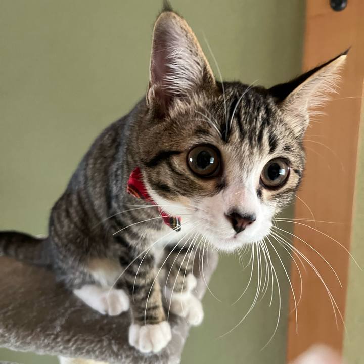 5de74846 0bfe 407b 9711 12b3aae5756f 1694587224778