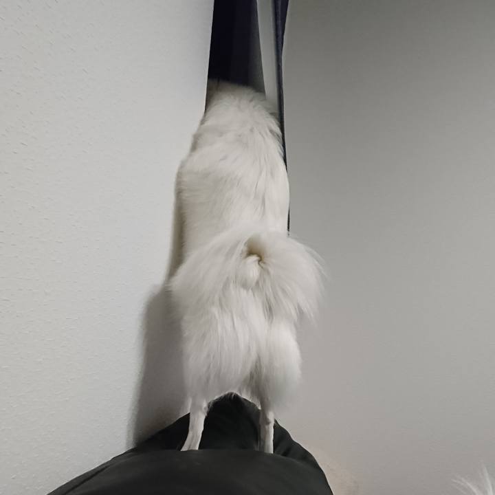 5de773dc be30 4a85 9c93 e90b525c0412 1550577904282