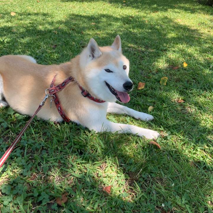 5de78a90 8509 41cb a40a 33e16a37fac9 1636295597052