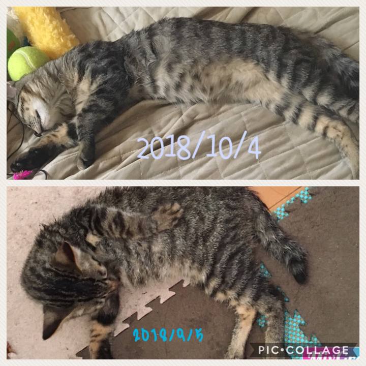 5de79b35 3562 44f6 914f 9055c8ffb9b9 1538631349021