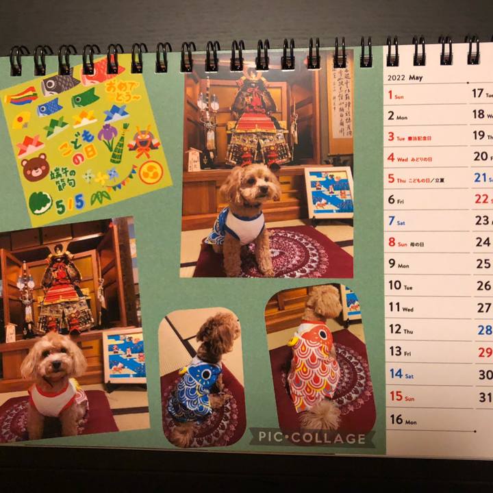 5de7d31b 4eb2 401c 9505 2c5cf0e5e7f2 1651492645066