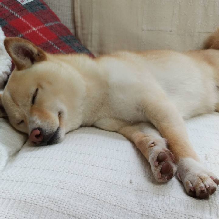 5de7da74 d313 42c2 b81e 0479b197b437 1523757646564