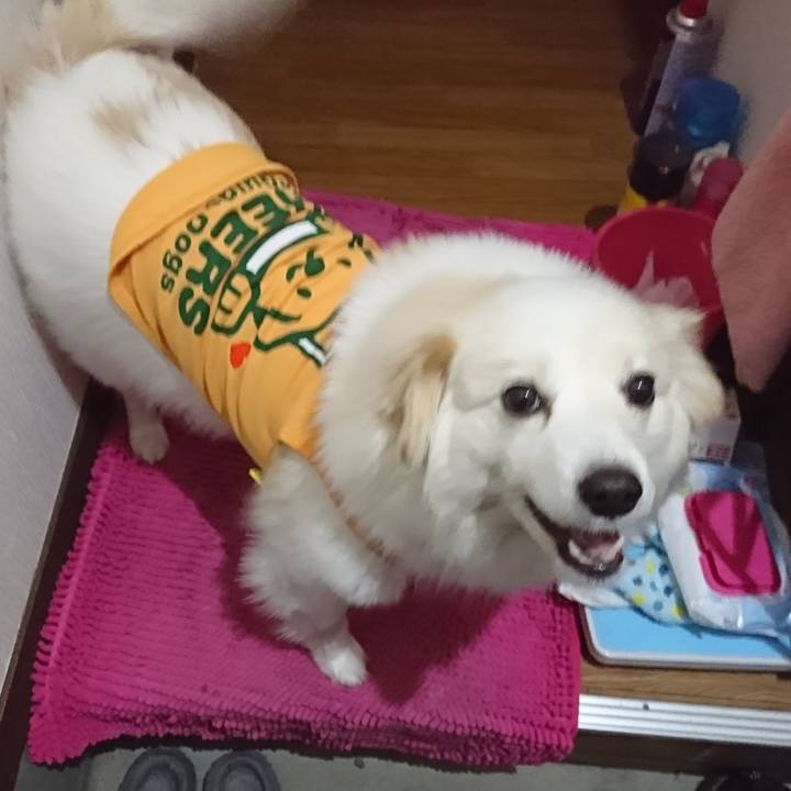 5de7ec75 0e56 4f34 8305 91417d5055a2 1521888113574