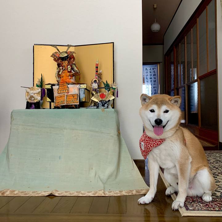 5de80e0d 1dc4 4025 9137 28ef0ca5dbb0 1651740265267