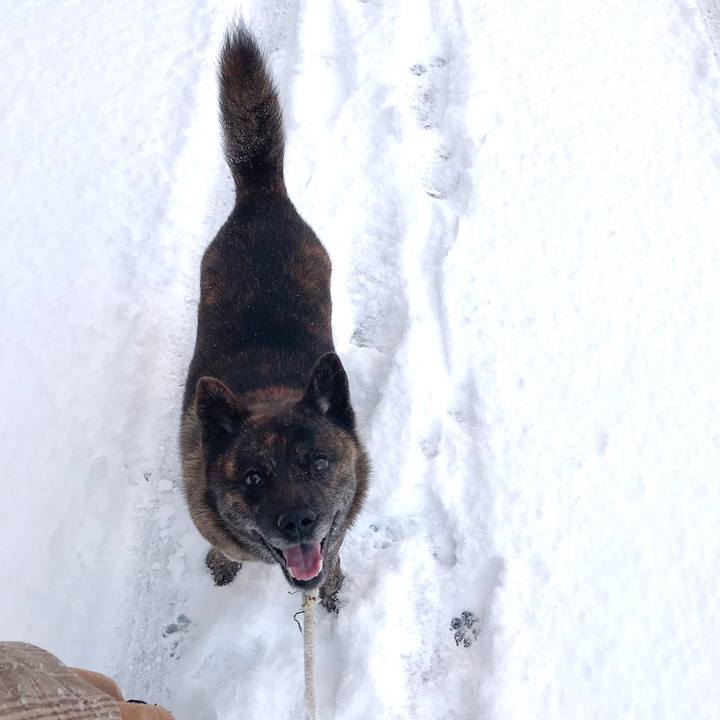 5de81353 b272 4939 90ea e4fdd4389538 1549756334223