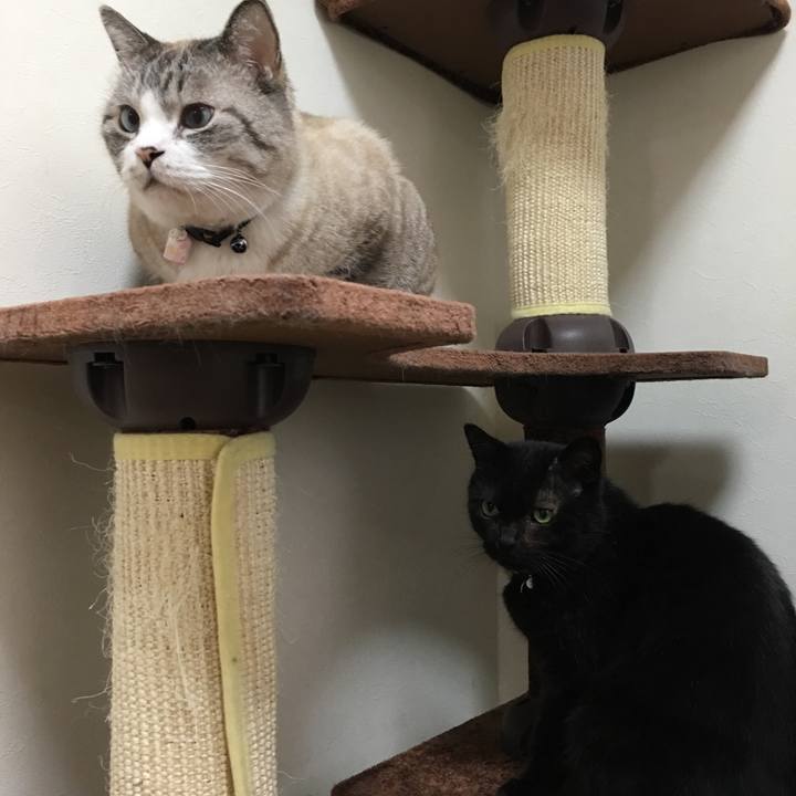 5de83924 7014 4877 8304 166f62cd7411 1516580519885