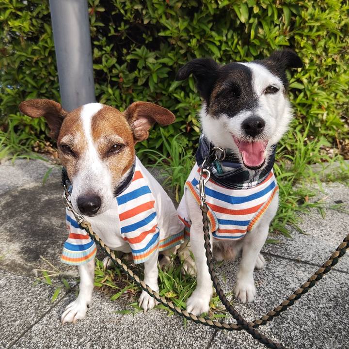 5de8f37c fa6c 4374 b2a8 d883d2361f82 1751666840216