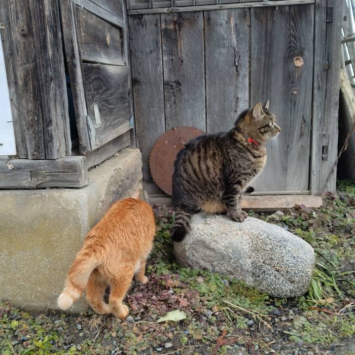 5de912bc e9e8 4c02 b80a 68a759db7cfd 1676879373836