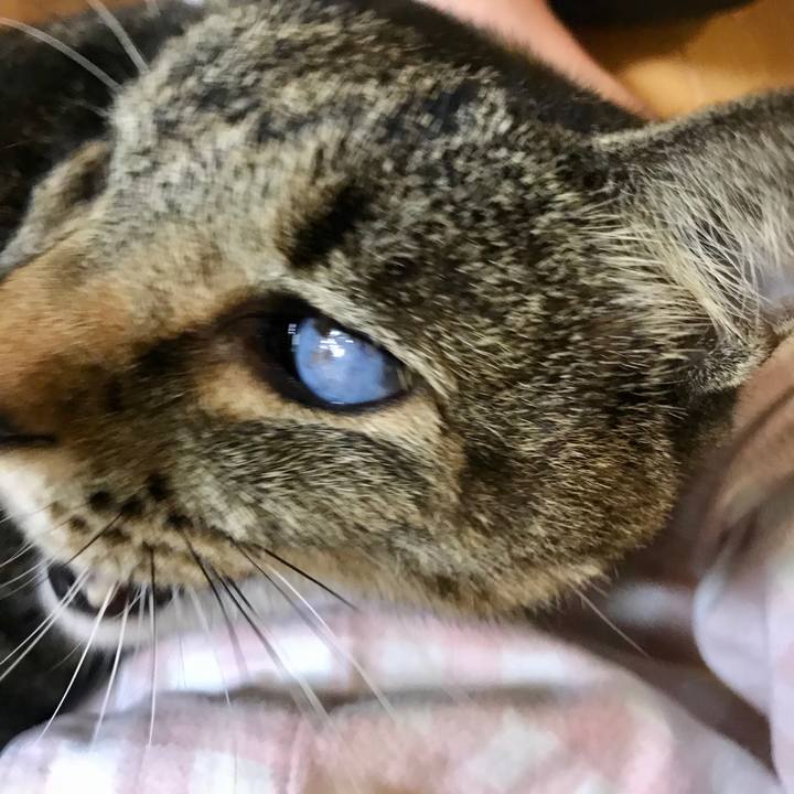 5de97809 27e0 4454 aea2 e216b02c3112 1602854690004