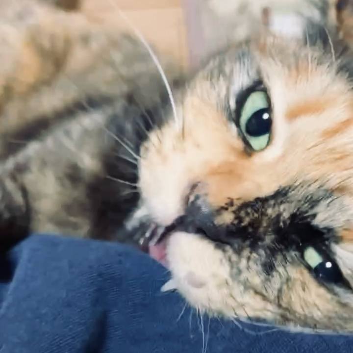 5de9f6a2 b793 4ab1 a5a7 3509ccf4ccc0 1732304963787