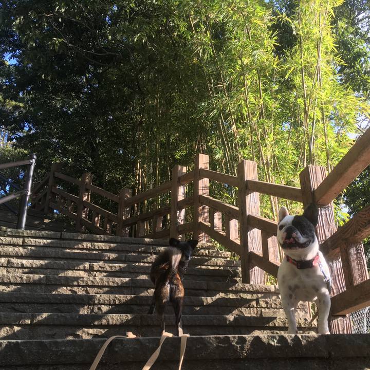 5dea1634 3f02 428f 9057 c9c2464b7760 1545184605236