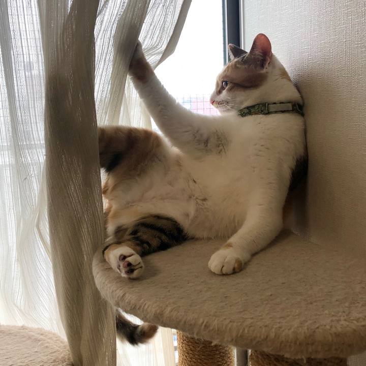 5dea1c43 64b1 4a44 84c2 aac640634c7e 1593128130066