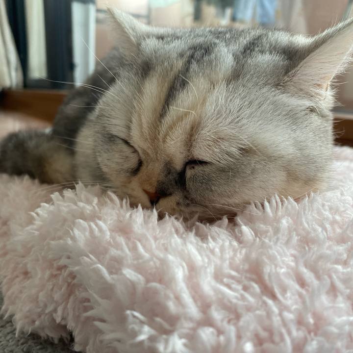 5dea3bec 6ac5 4928 be11 99f5333a4eb7 1739663585734