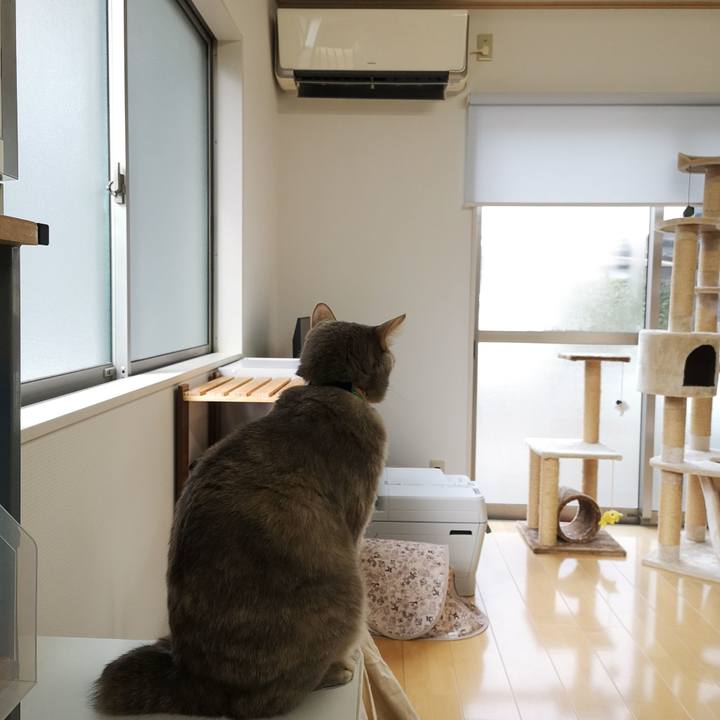 5dea54c7 dea1 40e3 b558 7a9d833fb96b 1581909464485