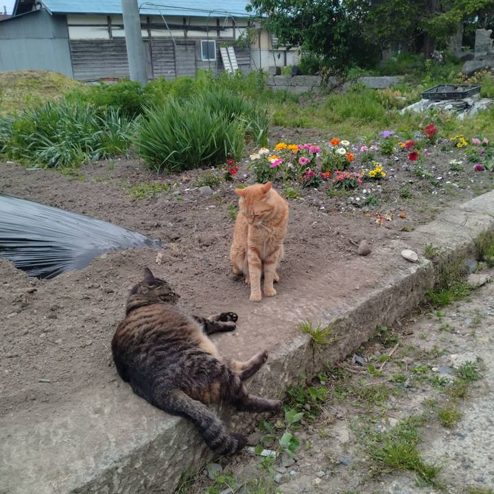 5dea61e9 454b 4ae2 b7e9 36e58ec7b8a6 1684403220466