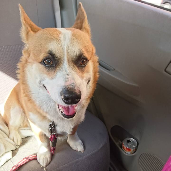 5dea6326 80a3 4f4a bb90 0095a53a5715 1607220965735