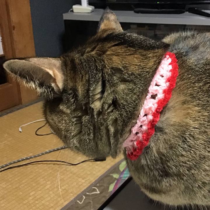 5dea6c2a f0a6 460a bb59 e5c8bde6d1c7 1677846970044