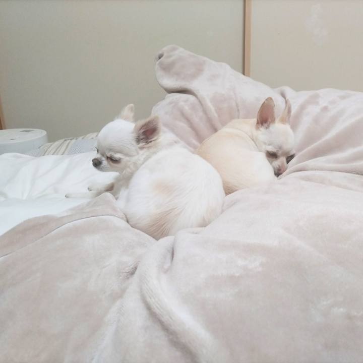 5dea73c7 44ae 42b4 8f12 598e0e4f34f1 1771757941218