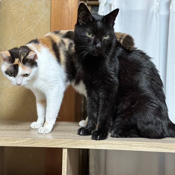 5dea7506 3966 48bf 9b75 14f3d34c5e15 1696988019662