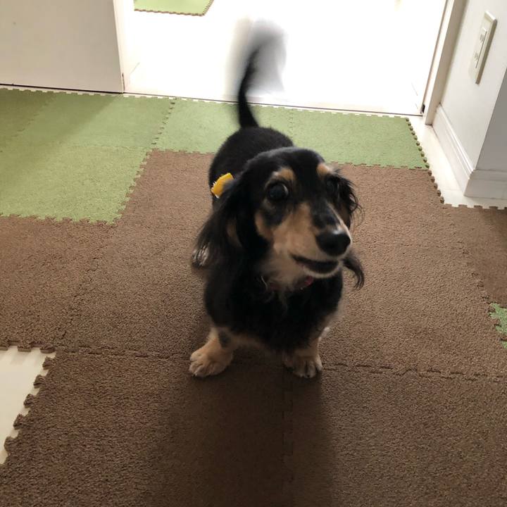 5deb1510 1eb7 49bf 9952 74d101535921 1571271646884