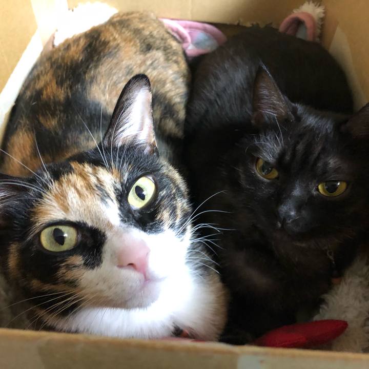 5deb4186 559b 4489 915a cec67eb8c317 1627042320882