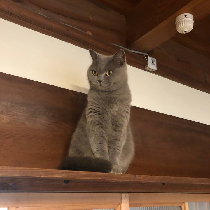 5deb4bb4 b682 40e1 8bf7 e956eff917b9 1576149259394