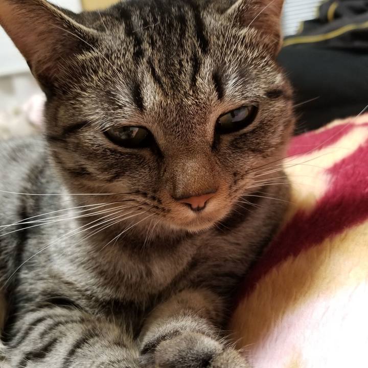 5deb614a 75cd 451c 976d f26c32e9a33a 1683467083785