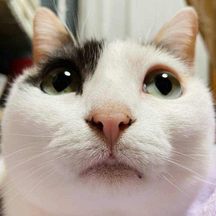 5deb95a7 46f8 4762 a8bf d8b7df9918e0 1650936554691