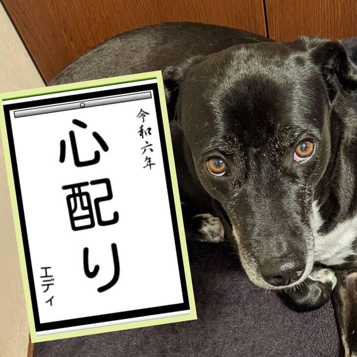 5deb9a06 f0e3 41a9 a45f ffb924a32c2e 1704406001047