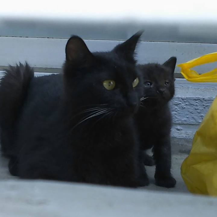 5dec5b98 ff88 4641 a6bf 9e1b33f616fc 1557731184099