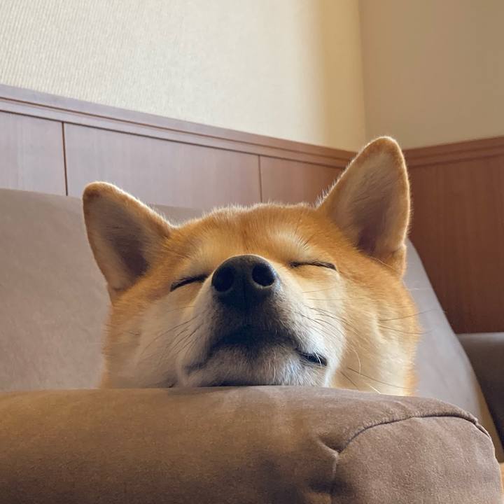 5dec7679 3324 4d99 b754 c52e02b9ab9a 1677628156975