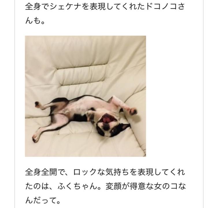 5decc413 1b23 457a 8aac b75b4a27fd00 1513327619385