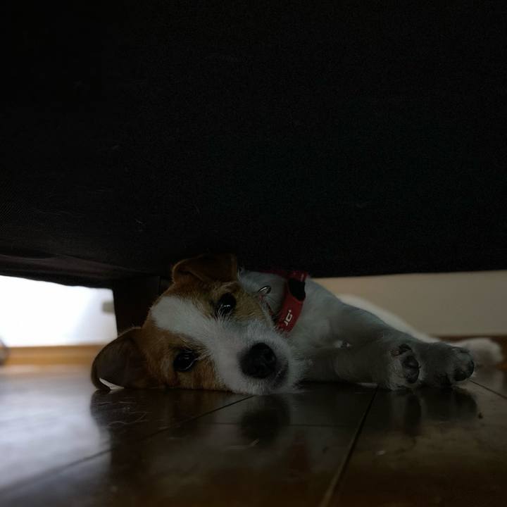 5decc612 b271 4597 9c09 f3bfbe1187de 1620194961910