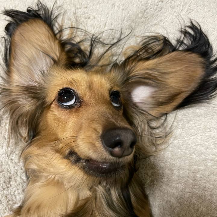 5decfe43 cc79 4e5f aa8d ab46fbe8a047 1650282843240