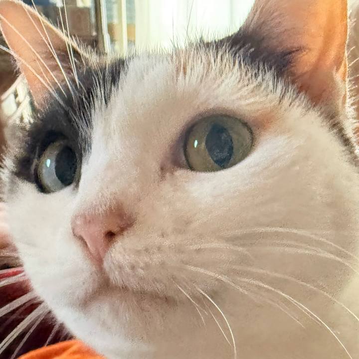 5ded1083 e231 483a b918 4d1e786c24d1 1770430918662