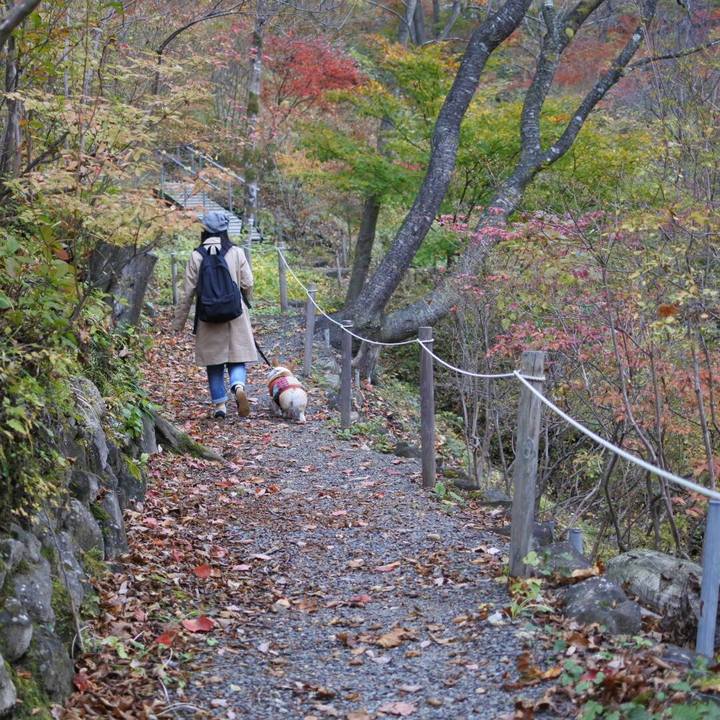 5ded56c2 f815 4578 afb9 7cb6337d0521 1509852923105