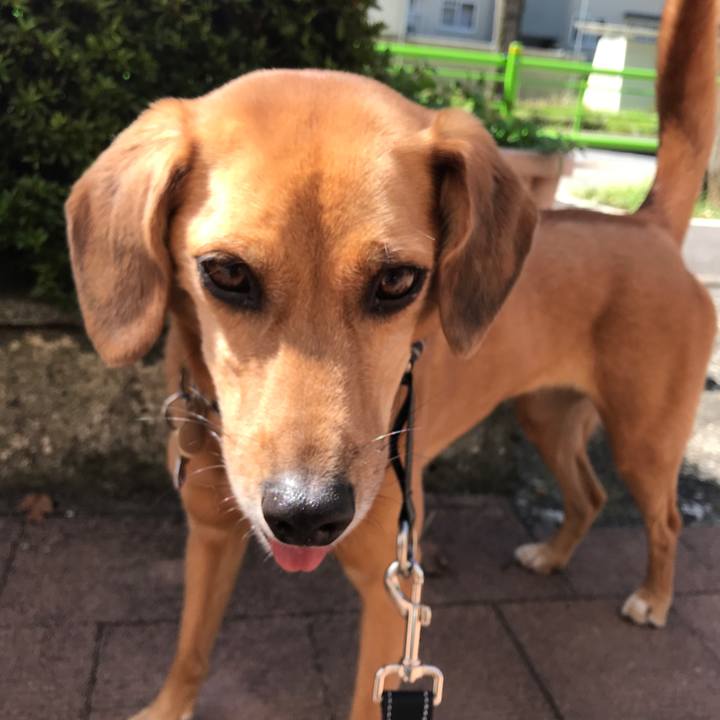 5ded68b3 6465 46cf 8b04 b2ee1c584a88 1534976341555