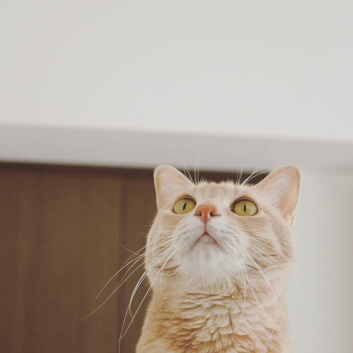 5dee039a 1ac0 467b 8851 2abe1fafcda9 1646105292427