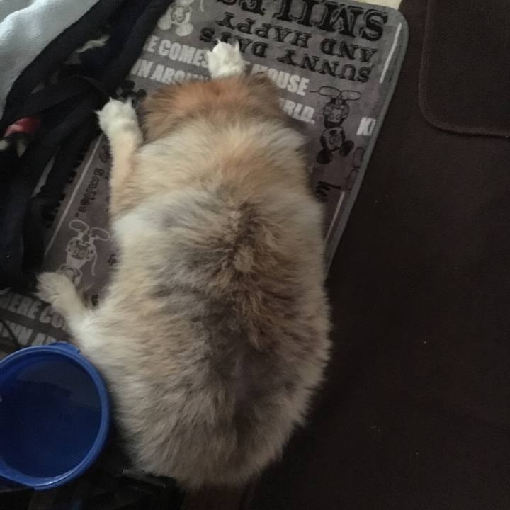 5dee0d64 ffef 47c8 869c b12344b2b1e2 1553594248028